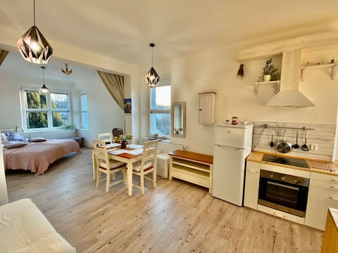 Provence flat, 10 min to AirPort, Wi-Fi, Garden