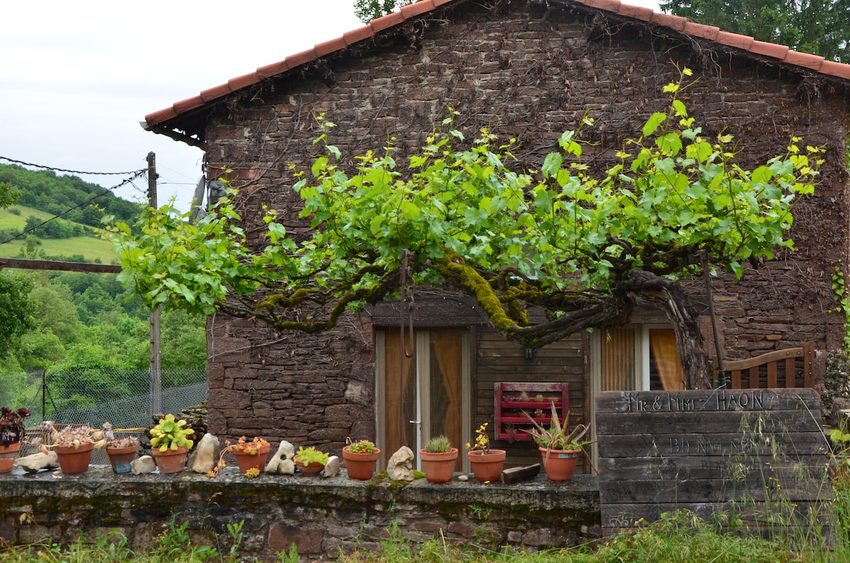 A rustic stone house is featured, adorned with a lush grapevine that extends over the entrance. Various potted plants line the front, showcasing an assortment of greenery. The surrounding landscape reveals rolling hills, enhancing the natural setting.