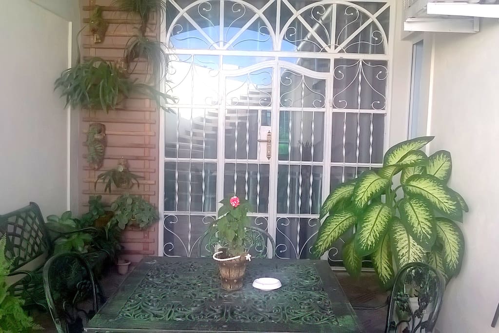 patio interior Hostal Finca Mundo Verde