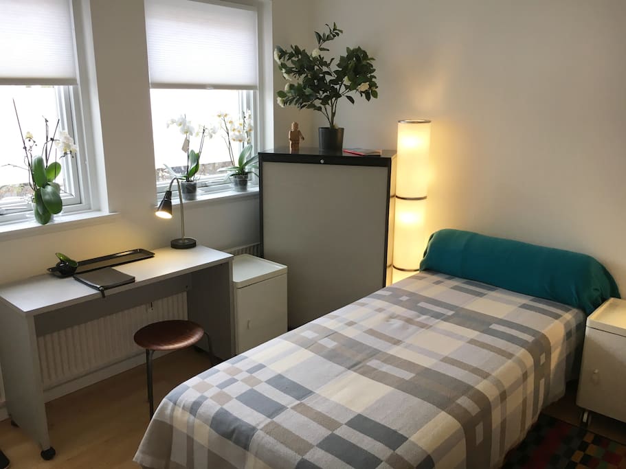 Bedroom and small desk. Free WI-FI
