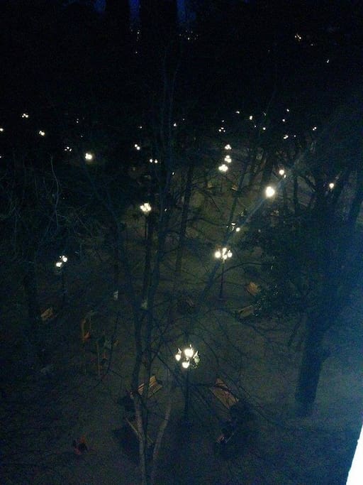 Garden view at night