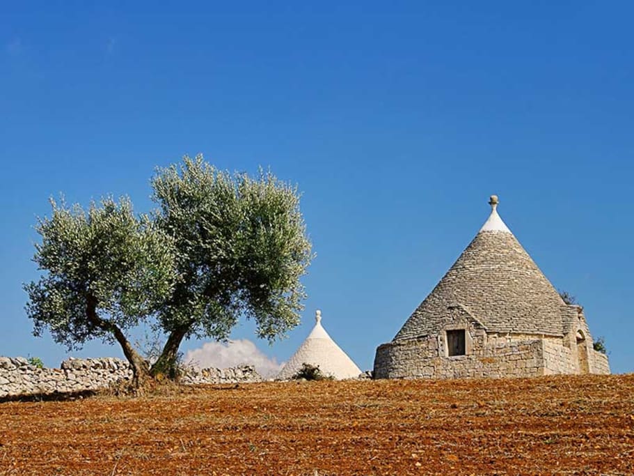 Campagna in Valle d'Itria