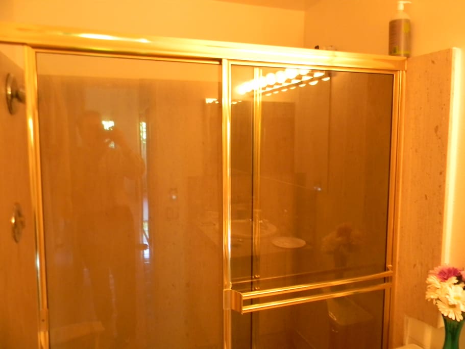 Master Bath Shower with Full Size 72 inch Brass Enclosure