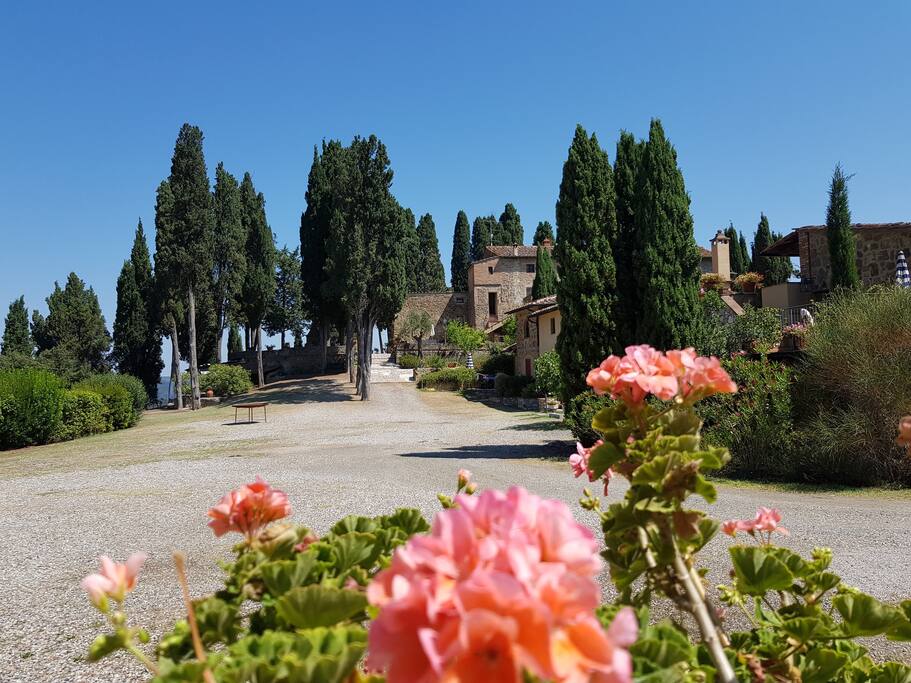 The square of the village