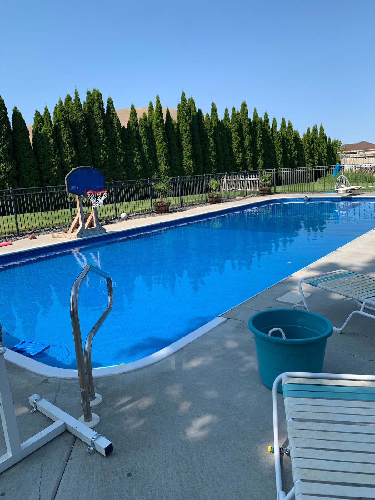 The pool area is surrounded by tall greenery, providing privacy. A pristine, clear blue pool is featured, with a basketball hoop at one end and lounge chairs positioned beside it. The concrete deck offers ample space for relaxation.