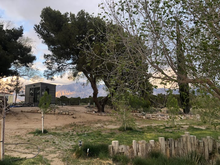 NEW "TINY" HOME w/ expansive views of the Sierras Tiny houses for