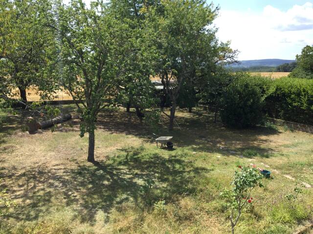 Unpretentious homestay + garden
