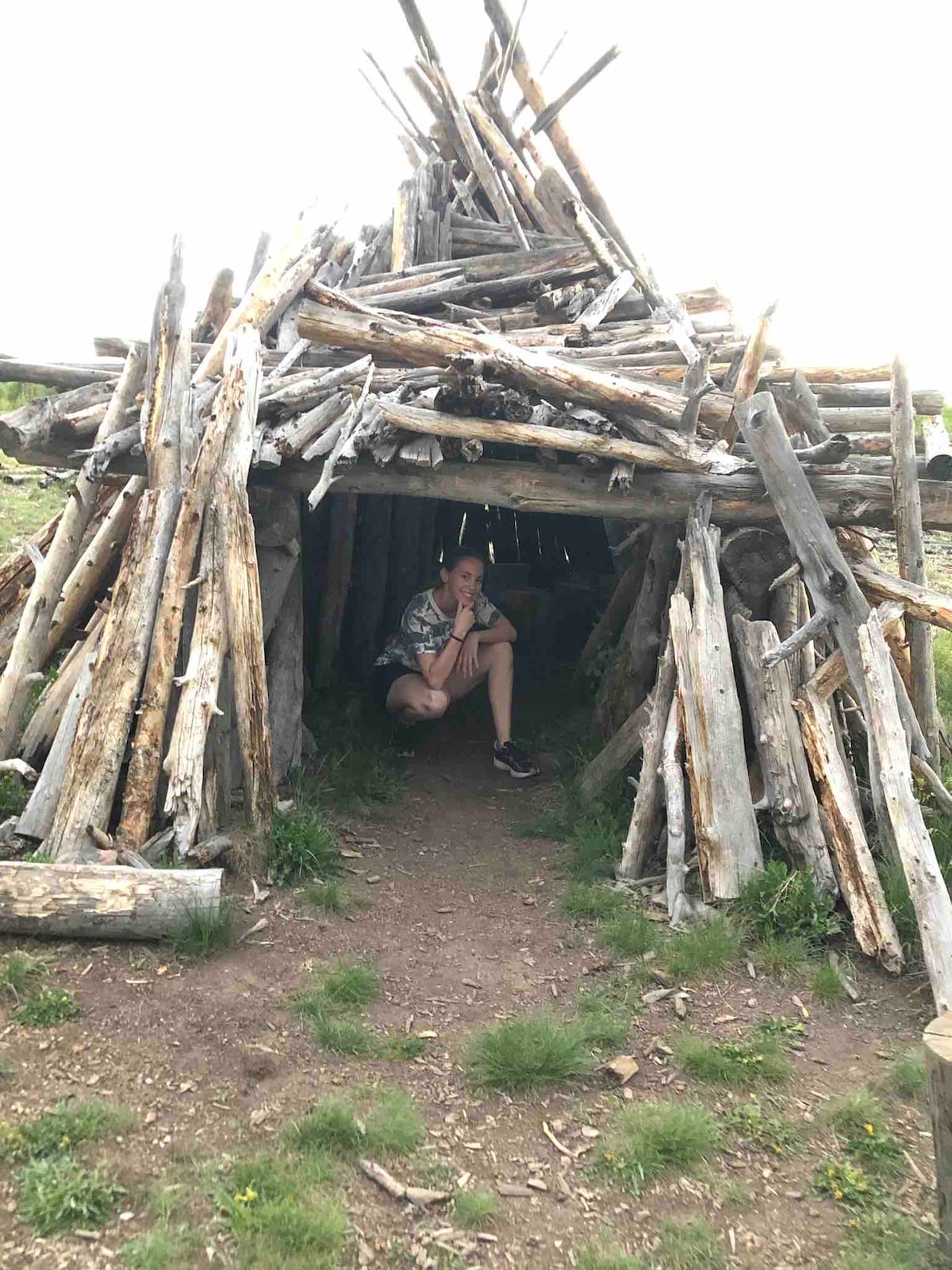 A rustic structure is constructed from logs and branches, forming a natural shelter. The entrance is partially visible, with greenery and a dirt path leading towards it. The surrounding area is open, with sparse vegetation, creating a serene outdoor atmosphere.