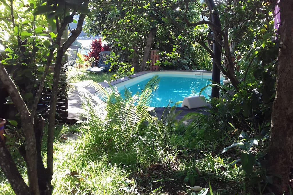 La piscine au coeur du jardin