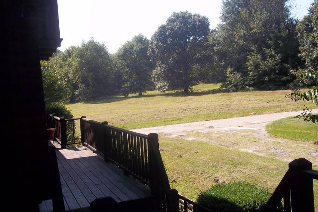View from Front Porch