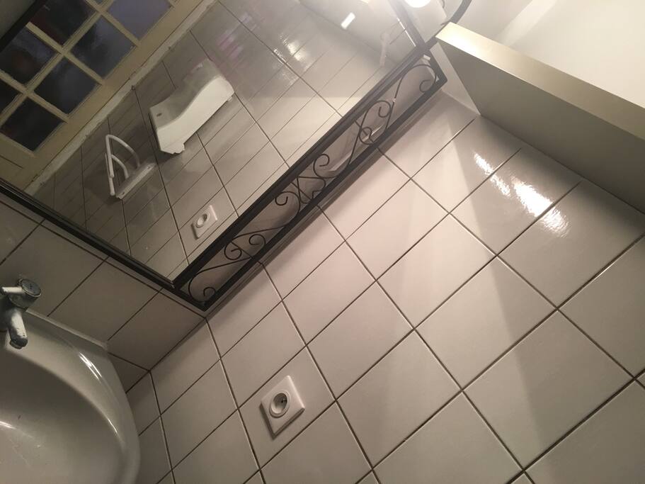 Salle d eau : 1 colonne, 1 bac à douche, étagères, sèche-serviettes, linges et produits.