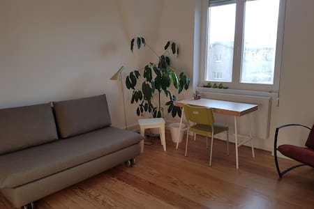 Charming room in a chic old building apartment