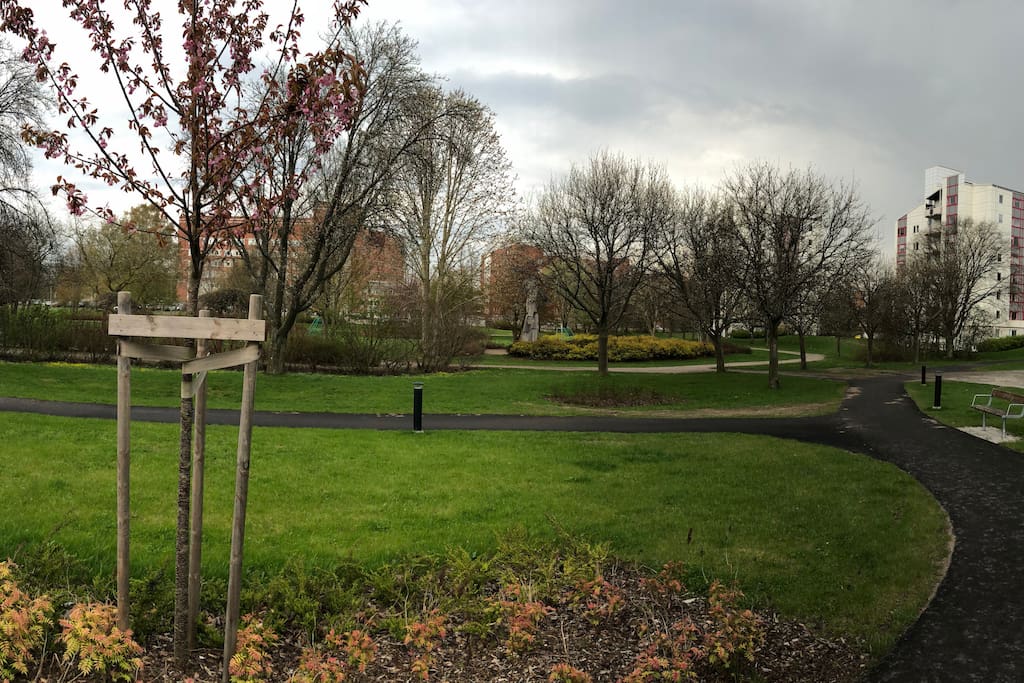 Park and the apartment block