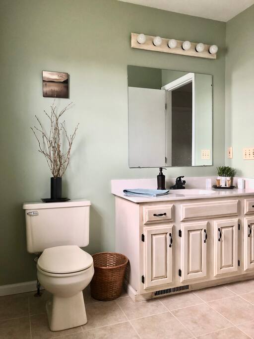 Clean and Elegant Bathroom (With Shower/Tub)