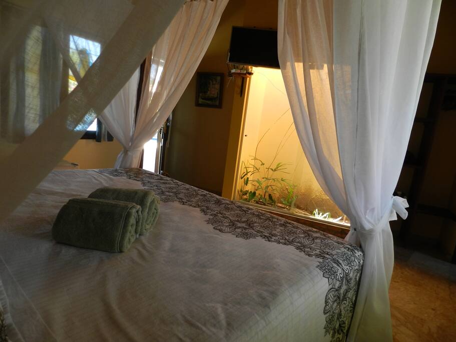 Chambre avec jardin intérieur