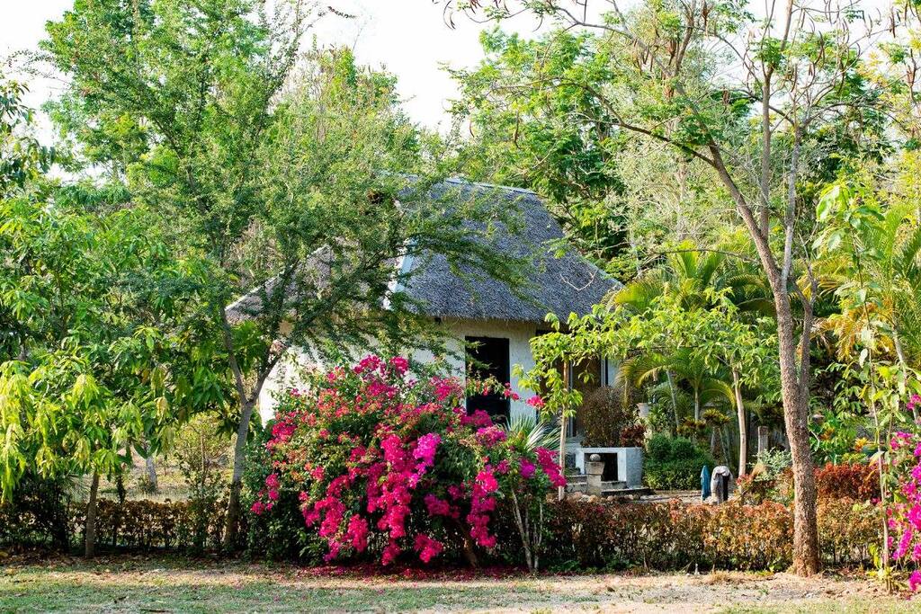 The cabin surrounded by a garden
