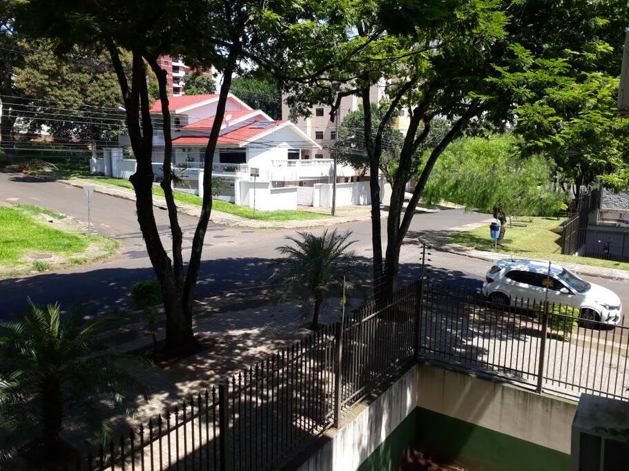 Vista da janela: local bem arborizado!