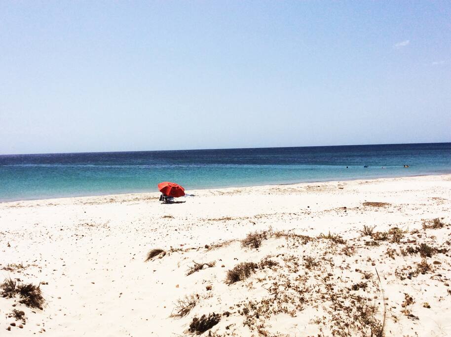 Plage vierge