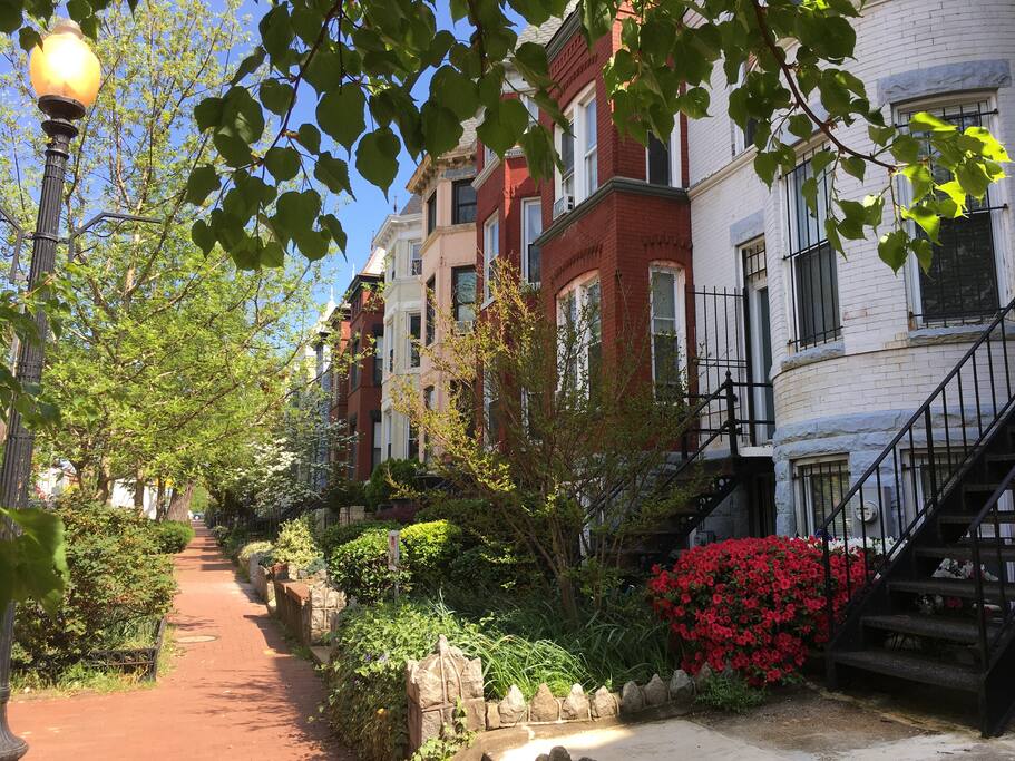 Walk to the end of the block to view the U.S. Capitol Building. Catch the 80 bus or walk straight down North Capitol 1 mile to visit.