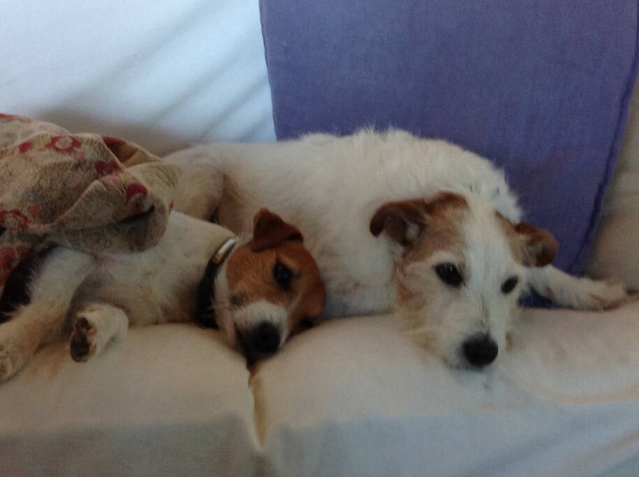 Virgule et Uggy