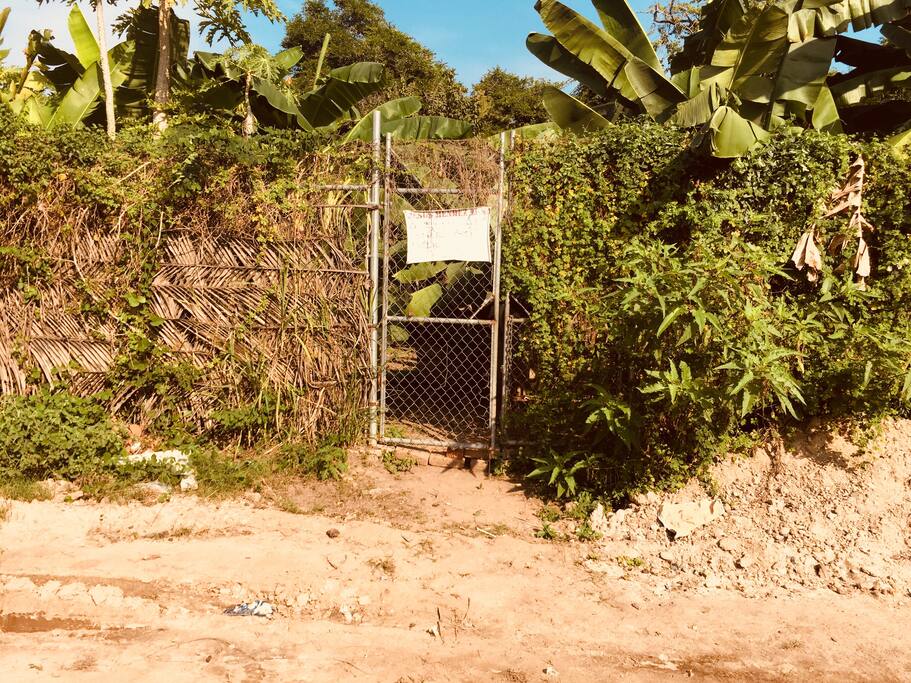 Terreno circulado con malla ciclón cubierto con hojas de palma y plantas vivas