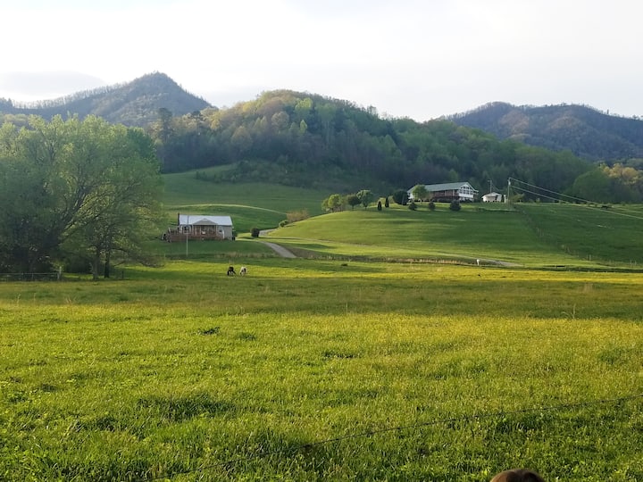 On Deep Creek! Lovely 2BR/1BA FishTubeHike Cottages for Rent in