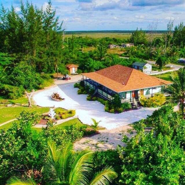 An aerial view captures the lodge's structure set amidst lush greenery and sandy pathways. The building, with its distinct roof, is surrounded by tropical plants and trees, enhancing the natural beauty of the environment.