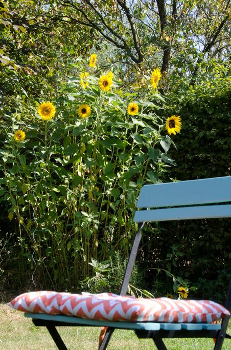 De tuin, dat is thuis genieten
