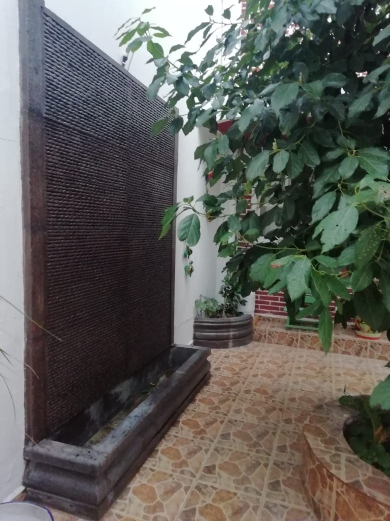 A decorative water fountain is positioned against a textured wall, surrounded by lush greenery. The ground features patterned tiles, enhancing the tranquil ambiance. Planters can be seen in the vicinity, contributing to the natural setting.