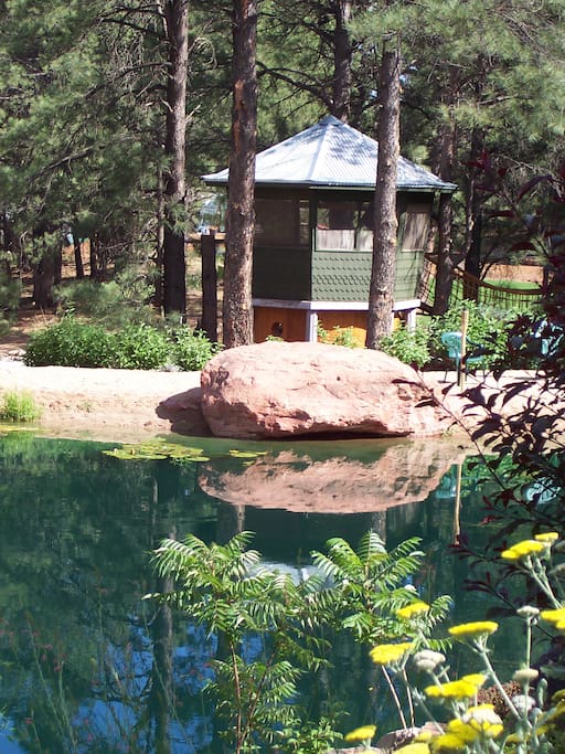 Cabana viewed from the pond