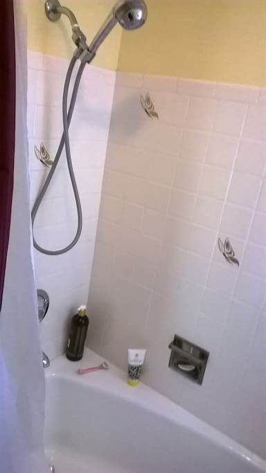Bathroom 1: tub/shower