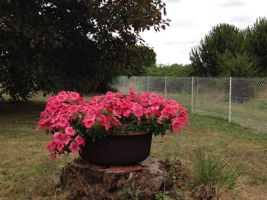 Le jardin en été