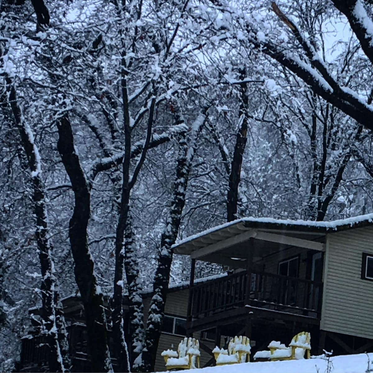 A cabin is nestled among tall trees, blanketed in fresh snow. A covered front deck offers a welcoming space with wooden railings. The surrounding branches are adorned with snow, creating a serene winter landscape.