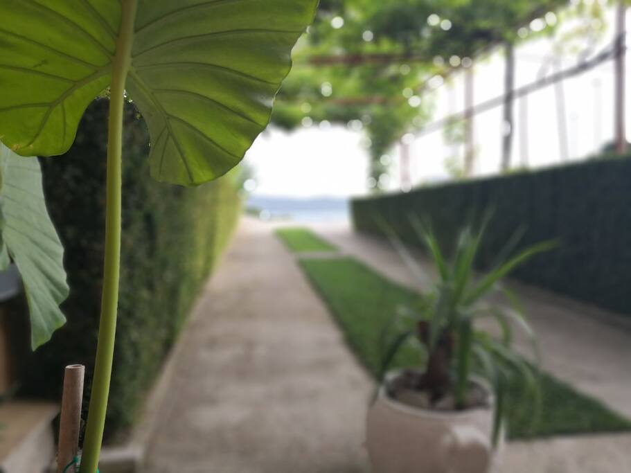 Sea view from a terrace