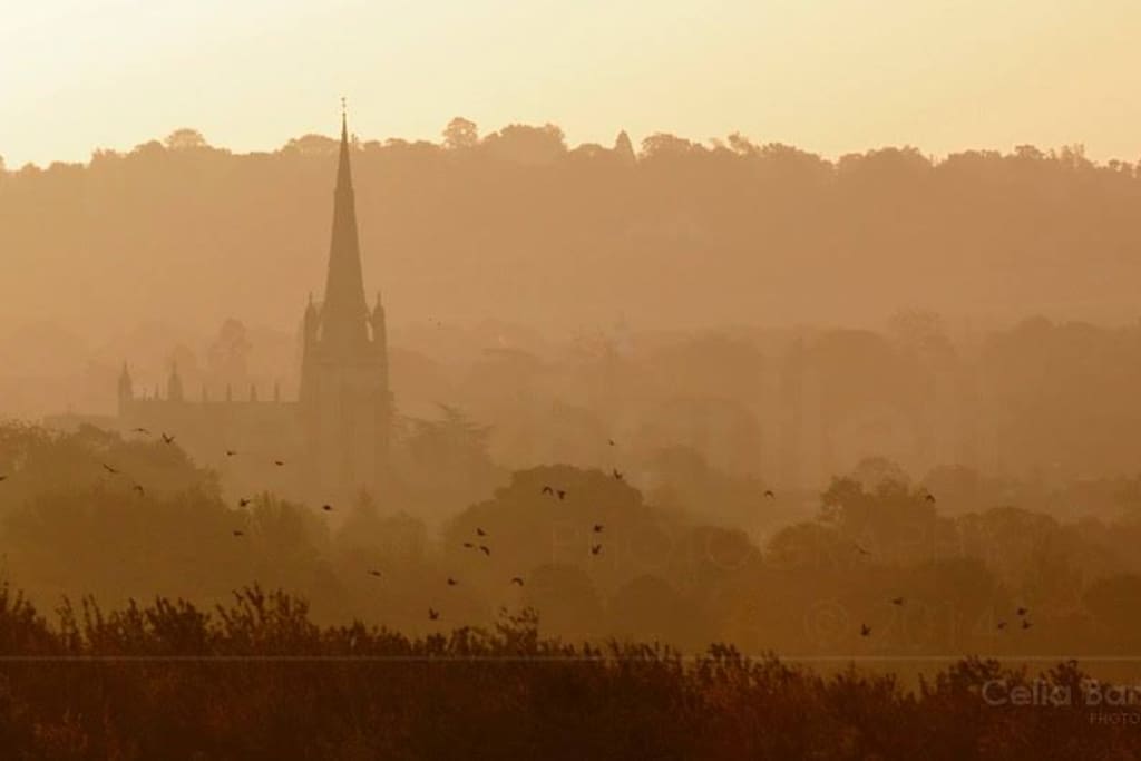 Saffron Walden nestles in the pretty north Essex countryside