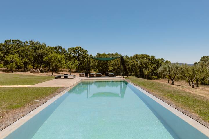 Casa M 101 gallery image 4