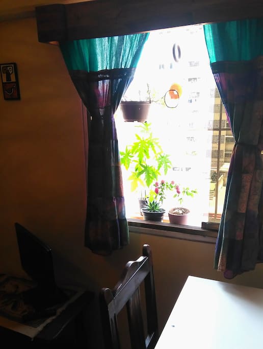 Balcón con plantas y mucha luz.
