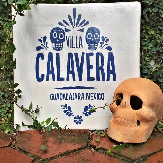 ¡Bienvenido!/Welcome!