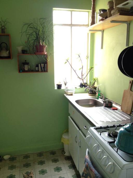 kitchen