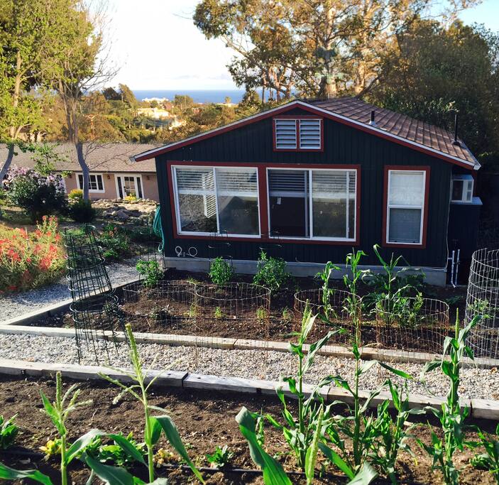 Your guest house is located next to our vegetable garden. The property also features two orchards, one in the front yard and one in the back yard, with more than 80 fruit trees including peaches, plums, apples, oranges, tangerines, avocados, pears, nectarines, lemons and many more. There are also more than 200 strawberry plants growing in the yard.
