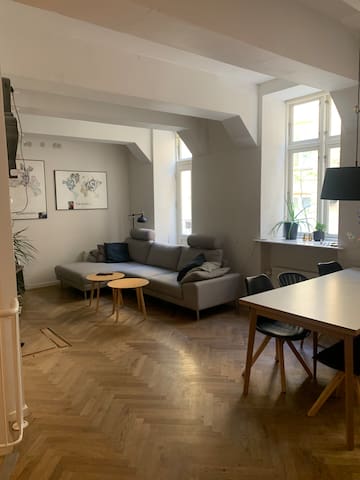 Nice big apartment “the City center”