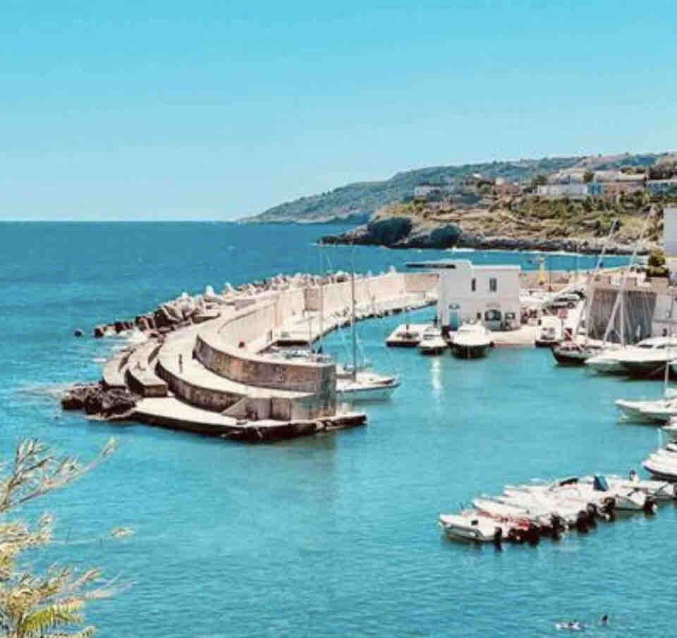 A serene harbor unfolds with calm blue waters where several boats are docked. A curved stone pier extends into the sea, and gentle waves reflect the bright sky. Green hills rise in the distance, enhancing the natural coastal beauty.