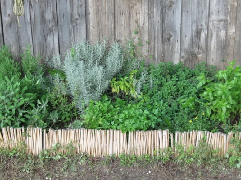 spices, Herbs for tea