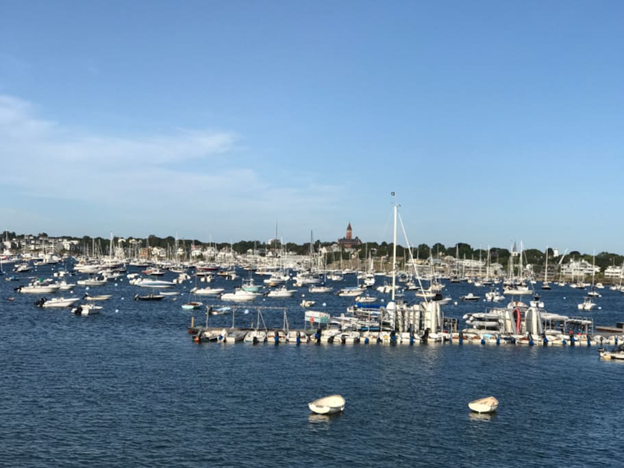 Harbor view