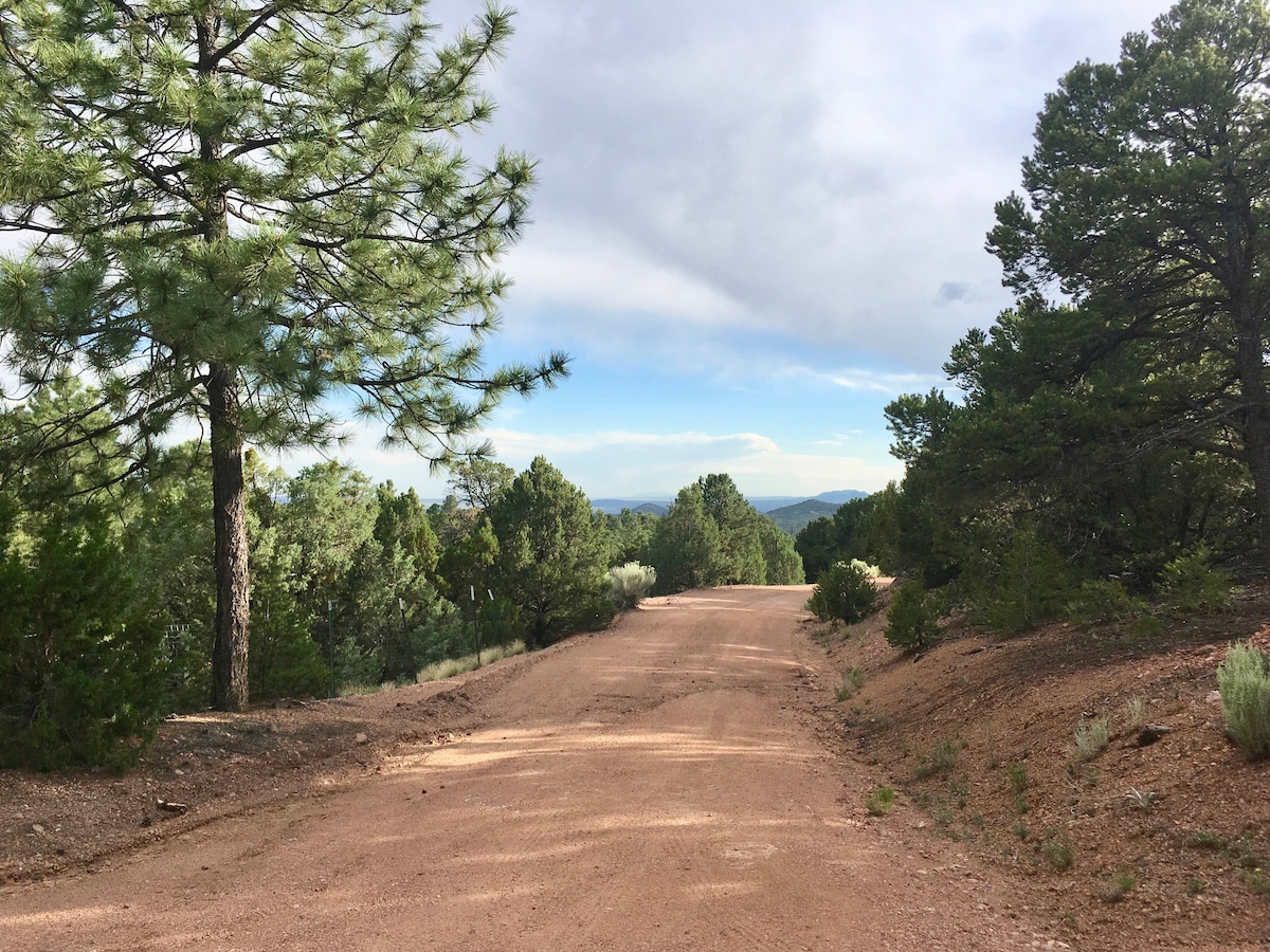 A dirt road stretches through a natural landscape lined with tall pine trees and shrubs. The path leads toward rolling hills under a cloudy sky, showcasing the serene surroundings of the area.
