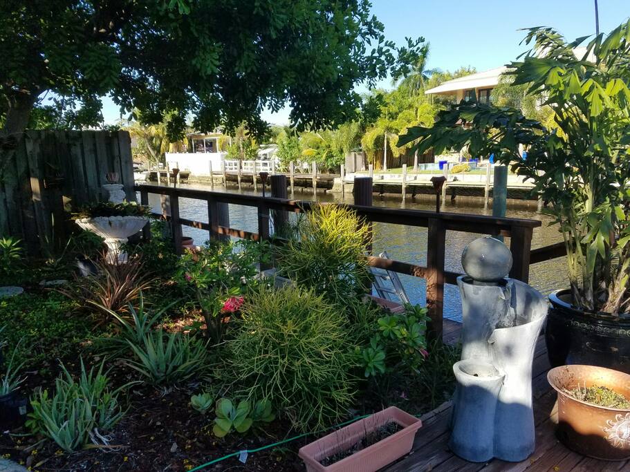 One of my garden areas with seasonal lemons, pineapples, butterfly garden and succulents.