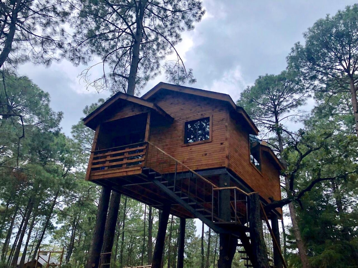 Cabaña del árbol en bosque Mazamitla entre tigres - Mazamitla, Jalisco  Vacation Rentals | HiChee