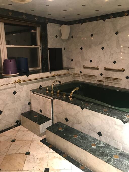 Jacuzzi hot tub/ bath tub