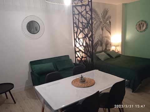 Studio full center facing the lake