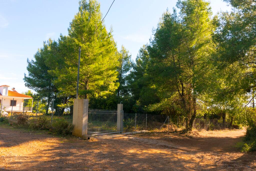 The entrance of the house.